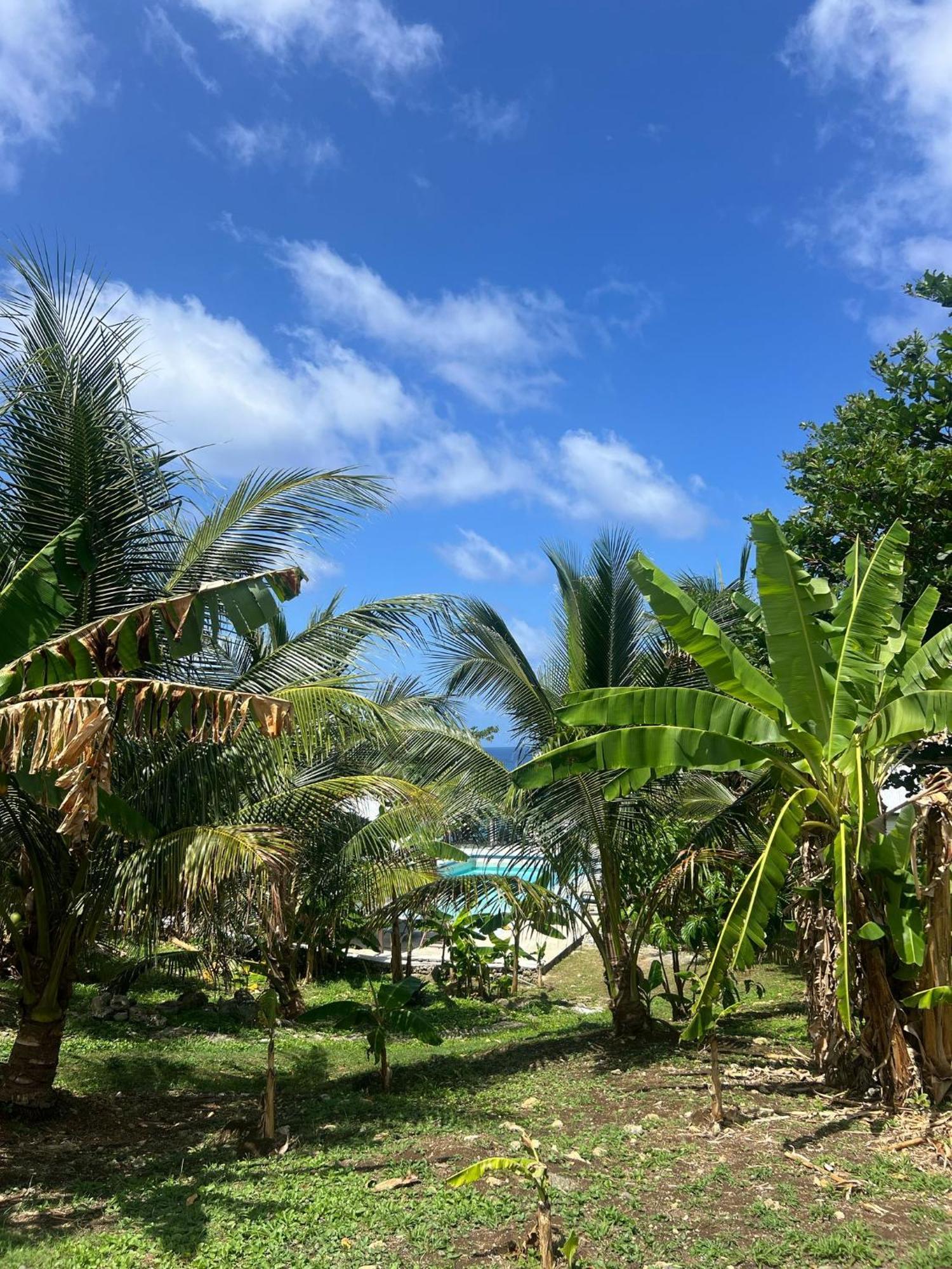 The Sea Cliff Hotel Resort & Spa 安东尼奥港 外观 照片
