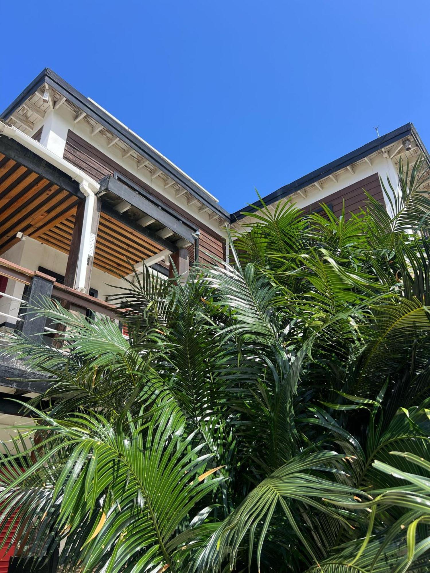 The Sea Cliff Hotel Resort & Spa 安东尼奥港 外观 照片