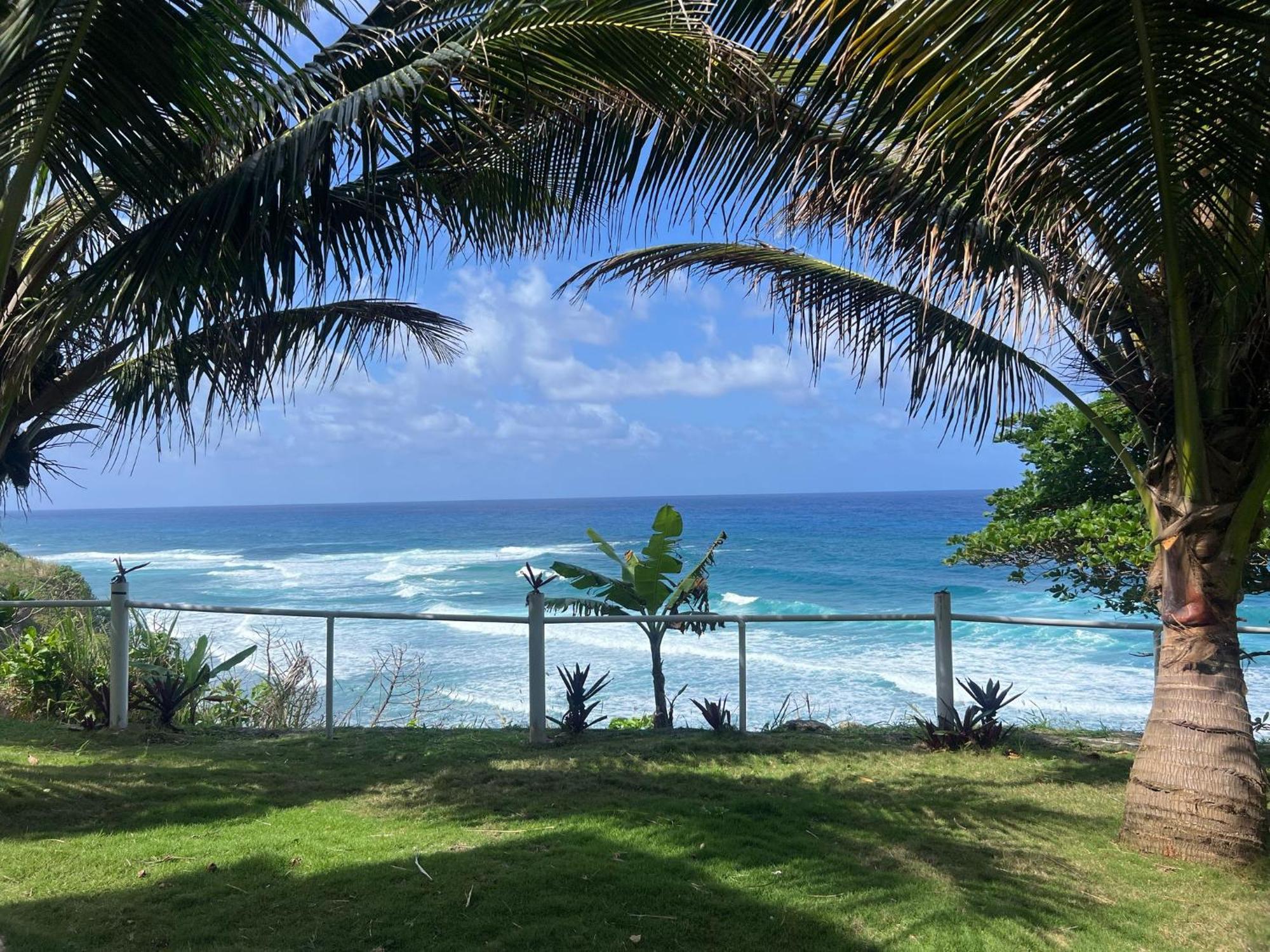 The Sea Cliff Hotel Resort & Spa 安东尼奥港 外观 照片